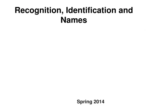 Recognition, Identification and Names