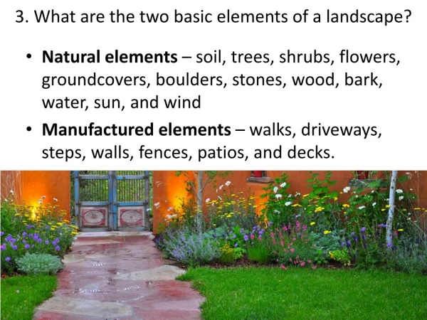 3. What are the two basic elements of a landscape ?