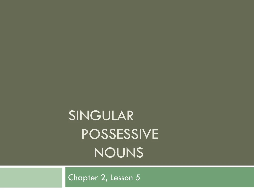 singular possessive nouns
