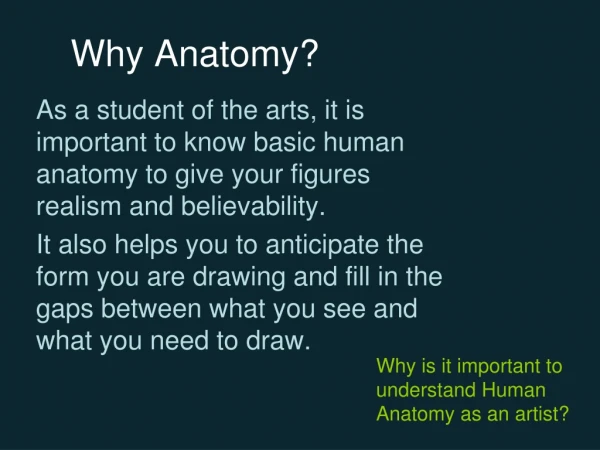 Why Anatomy?