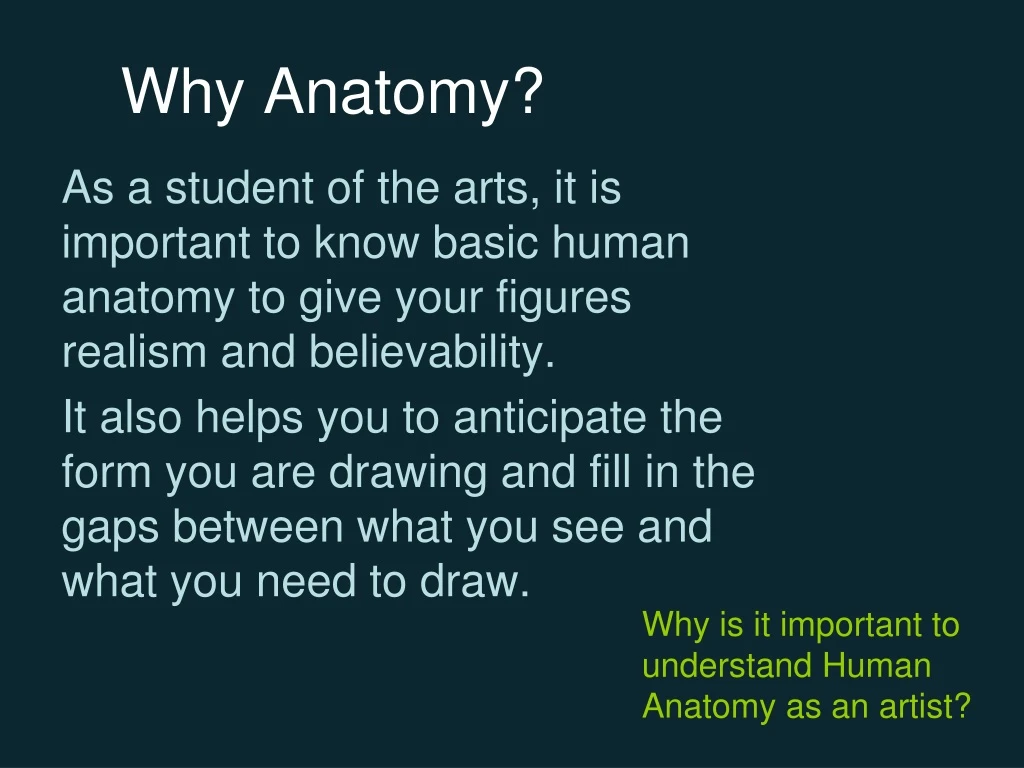 why anatomy