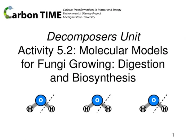Decomposers Unit Activity 5.2: Molecular Models for Fungi Growing: Digestion and Biosynthesis