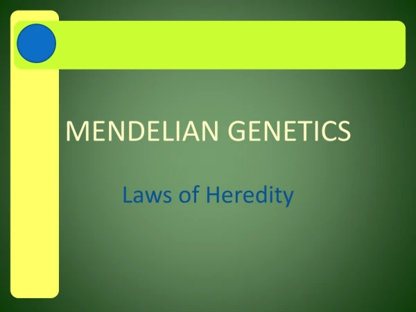 MENDELIAN GENETICS