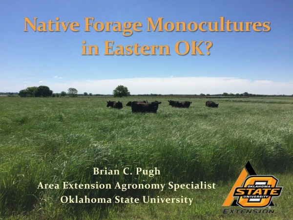 Native Forage Monocultures in Eastern OK?