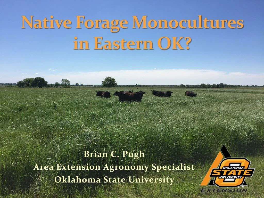 native forage monocultures in eastern ok