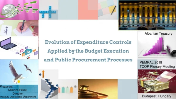 Evolution of Expenditure Controls Applied by the Budget Execution and Public Procurement Processes