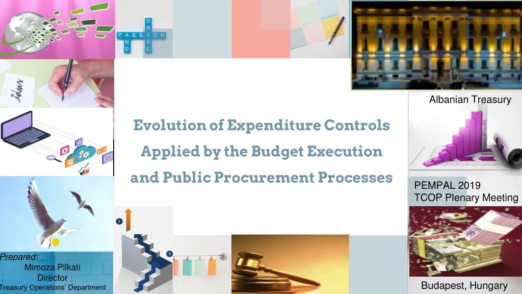 evolution of expenditure controls applied by the budget execution and public procurement processes