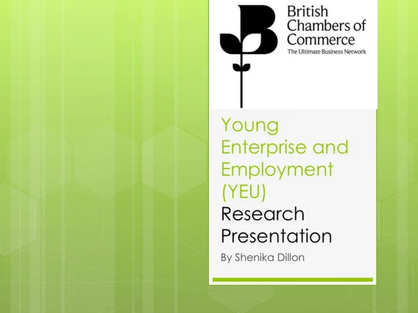 Young Enterprise and Employment (YEU) Research Presentation