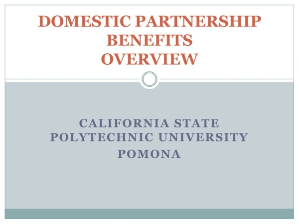 DOMESTIC PARTNERSHIP BENEFITS OVERVIEW