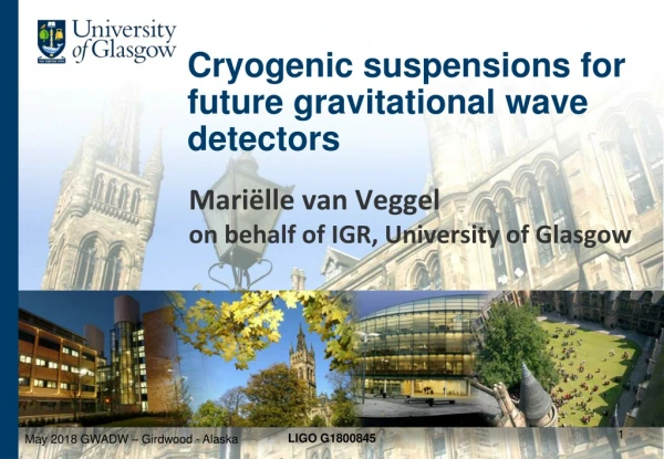 Cryogenic suspensions for future gravitational wave detectors