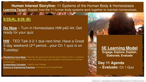 Human Interest Storyline: 11 Systems of the Human Body &amp; Homeostasis