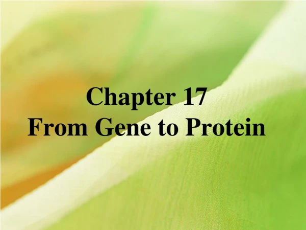 Chapter 17 From Gene to Protein
