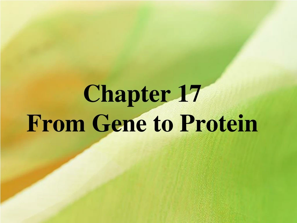 chapter 17 from gene to protein