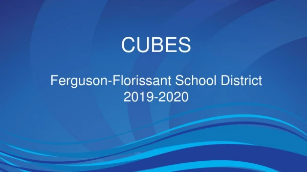 CUBES Ferguson-Florissant School District 2019-2020