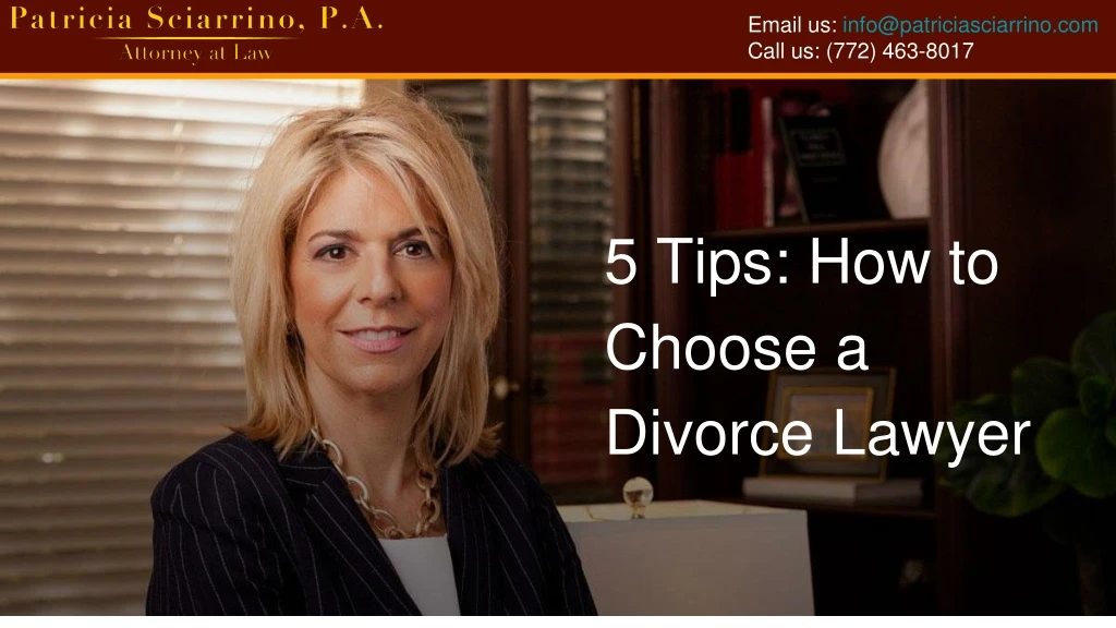 patricia sciarrino best law firm for hire divorce