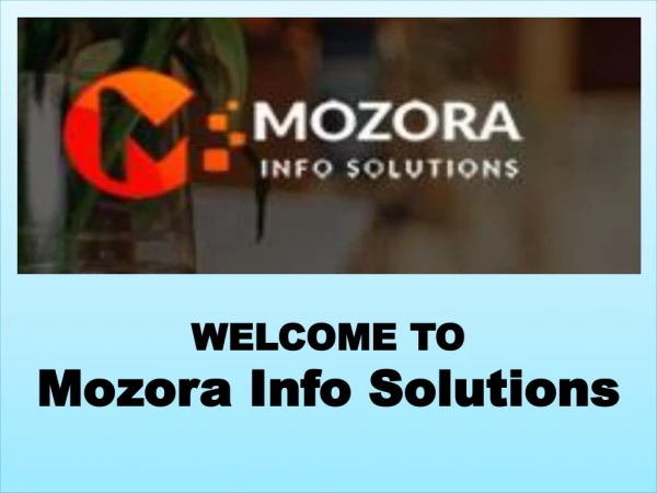 Mozora Info Solutionss | Basic Seo Packages