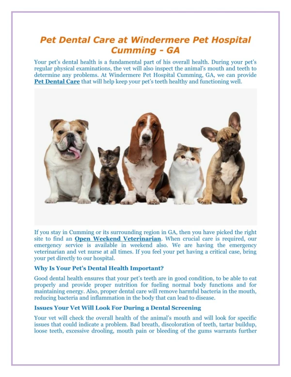 Pet Dental Care at Windermere Pet Hospital Cumming - GA