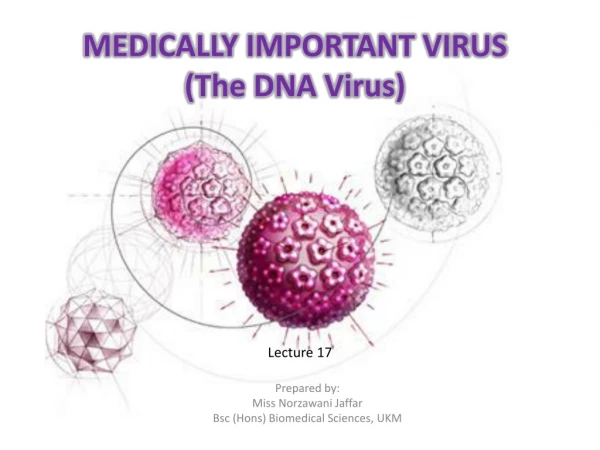 MEDICALLY IMPORTANT VIRUS (The DNA Virus)
