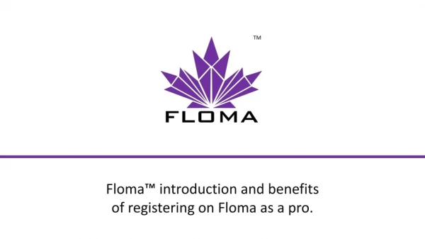 Floma Professional Account Proposal