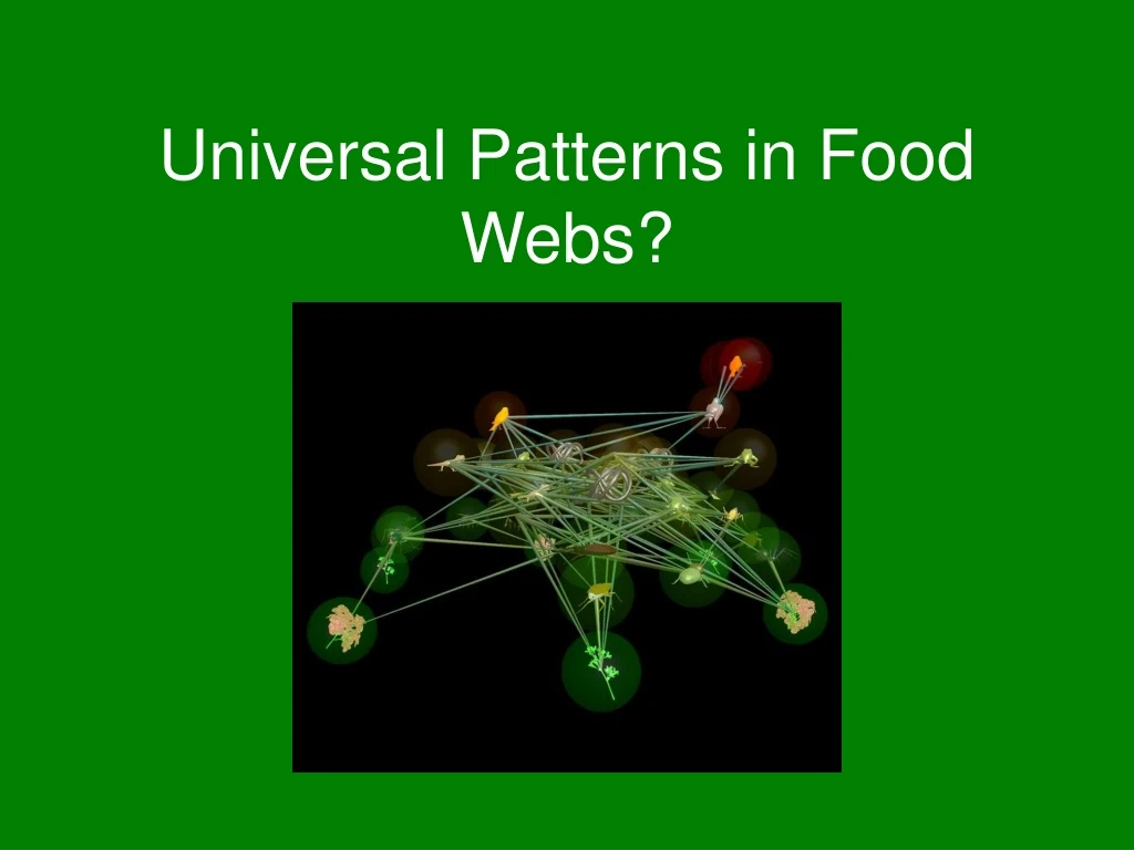 universal patterns in food webs