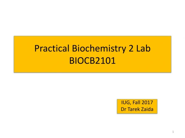 Practical Biochemistry 2 Lab BIOCB2101