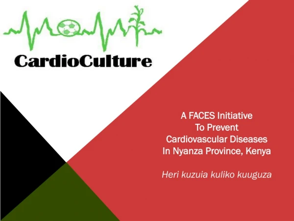 A FACES Initiative To Prevent Cardiovascular Diseases In Nyanza Province, Kenya