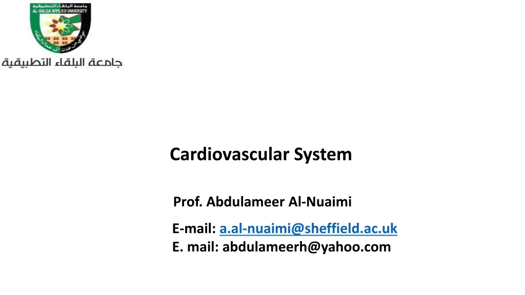 cardiovascular system