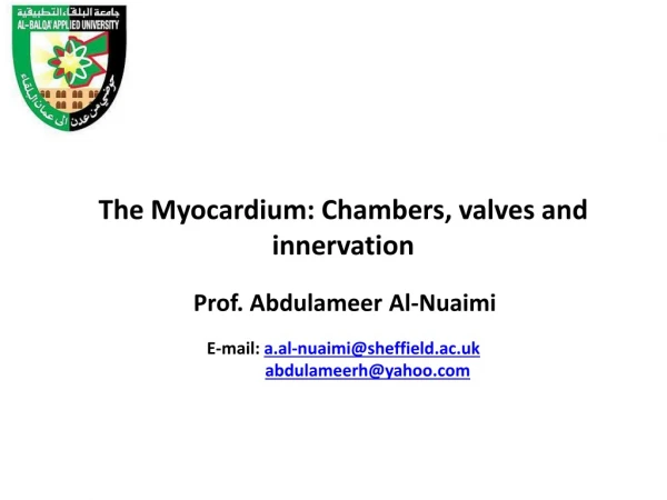 The Myocardium: Chambers, valves and innervation