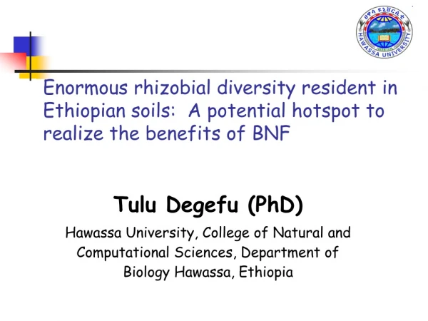 Tulu Degefu (PhD )
