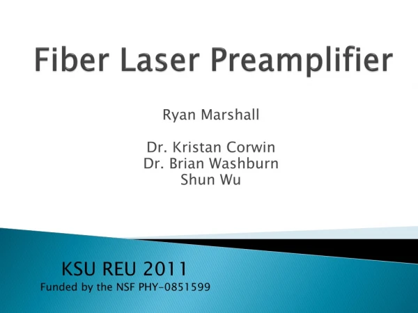 Fiber Laser Preamplifier