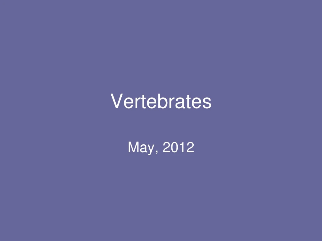 vertebrates