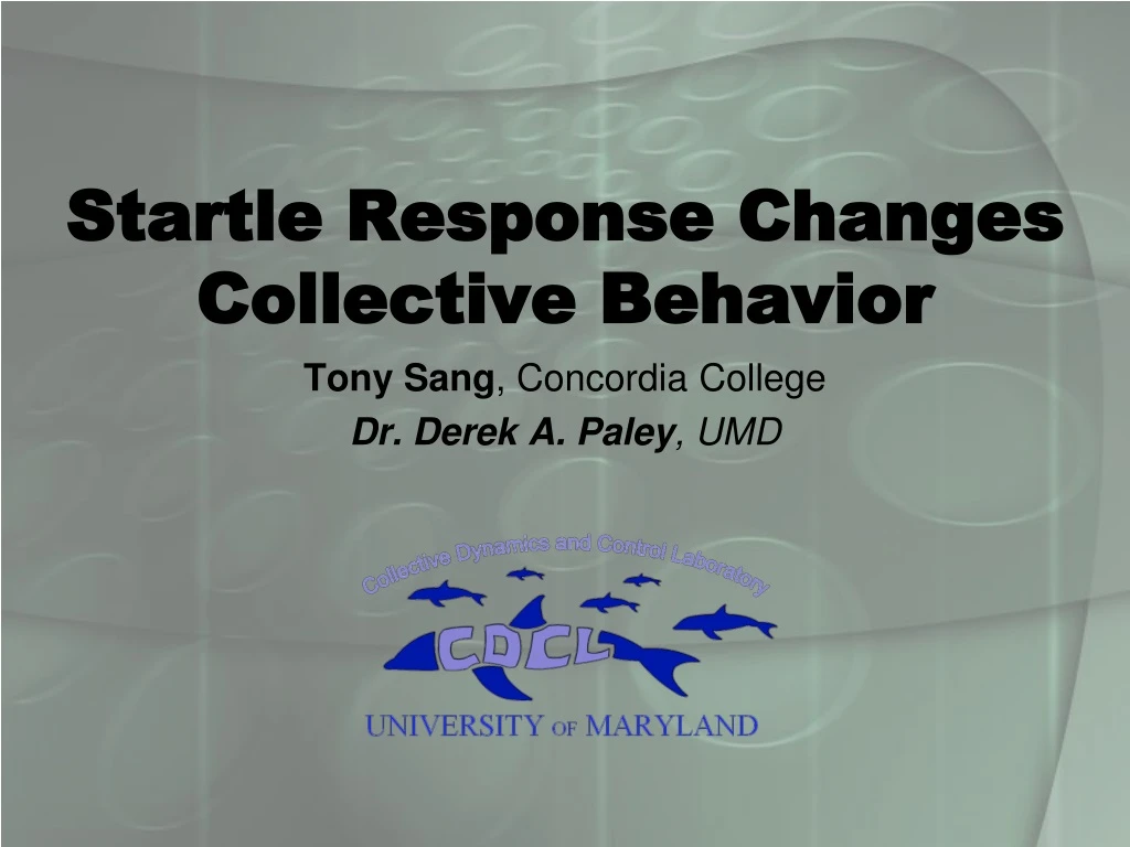 startle response changes collective behavior
