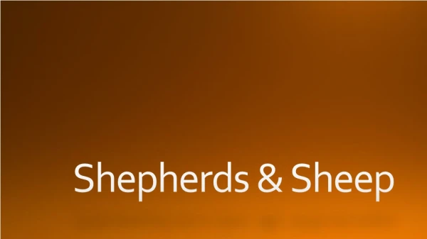 Shepherds &amp; Sheep