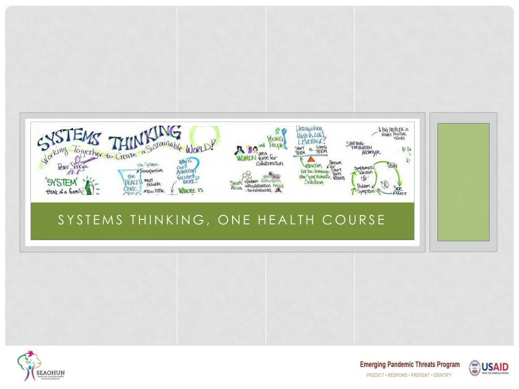 systems thinking one health course