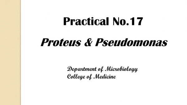 Practical No.17 Proteus &amp; Pseudomonas