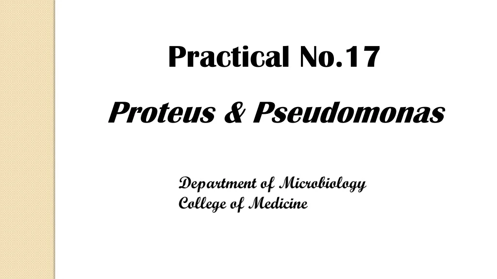practical no 17 proteus pseudomonas