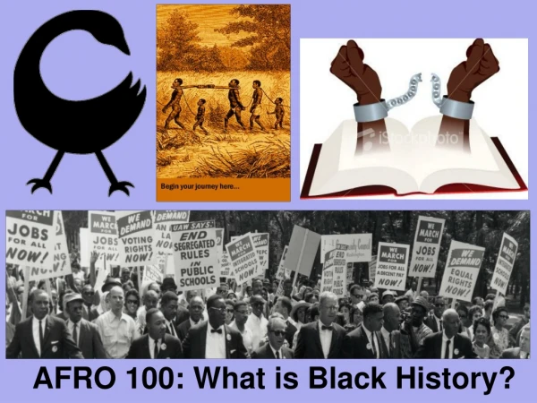 AFRO 100: What is Black History?