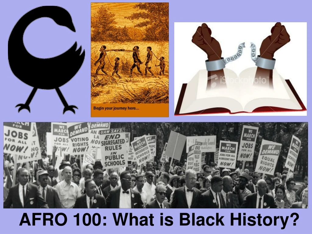 afro 100 what is black history