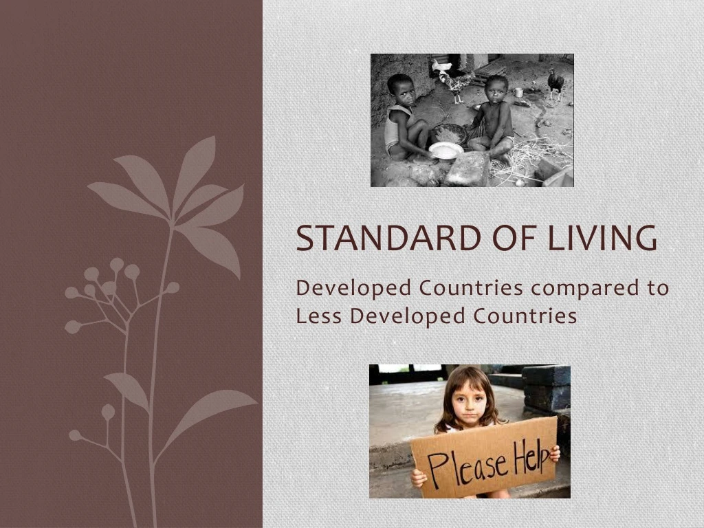 standard of living