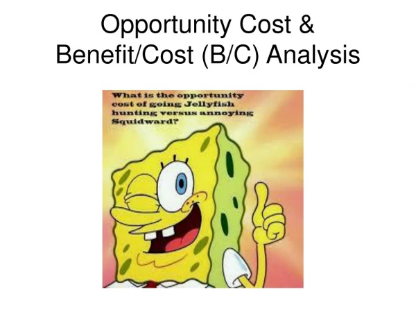 Opportunity Cost &amp; Benefit/Cost (B/C) Analysis