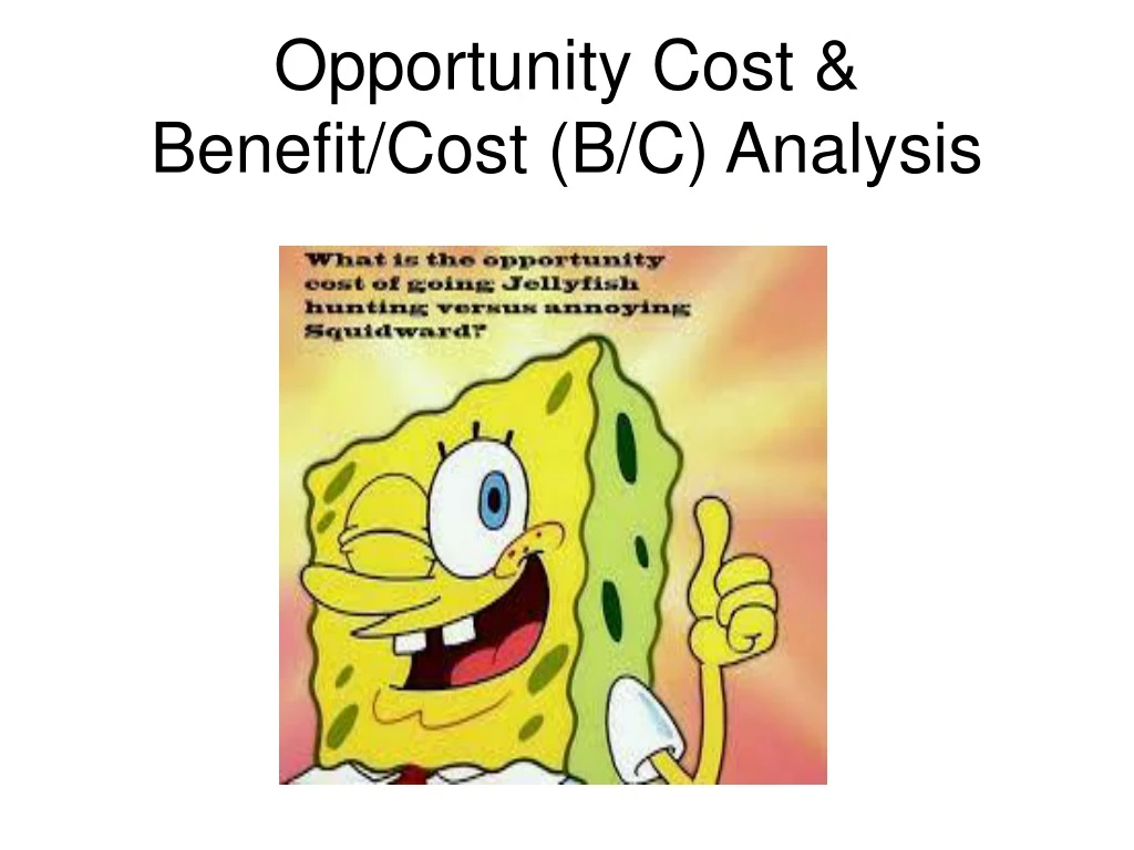 opportunity cost benefit cost b c analysis