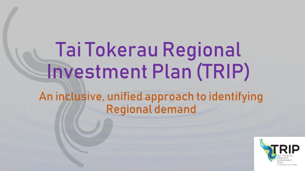 tai tokerau regional investment plan trip