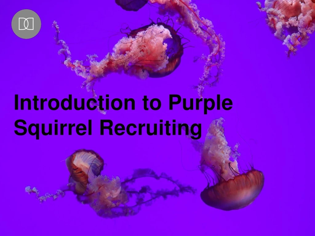 introduction to purple squirrel recruiting