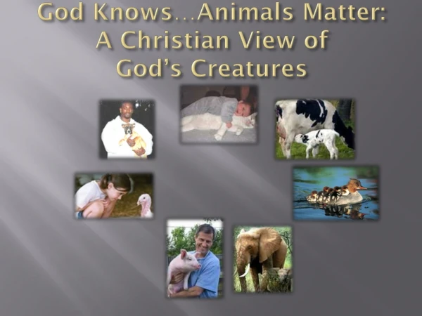 God Knows…Animals Matter: A Christian View of God’s Creatures