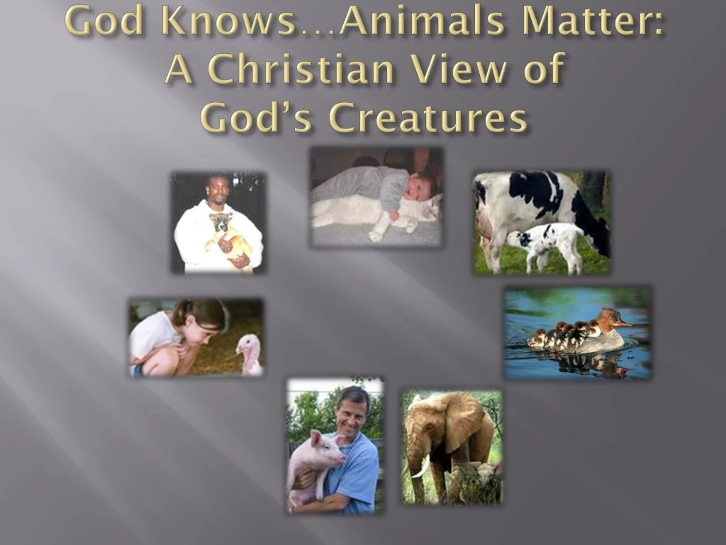 god knows animals matter a christian view of god s creatures