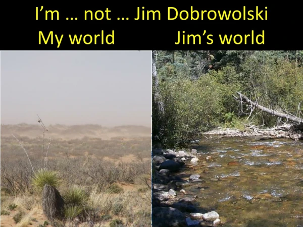 I’m … not … Jim Dobrowolski My world Jim’s world