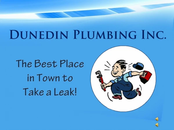 Dunedin Plumbing Inc.