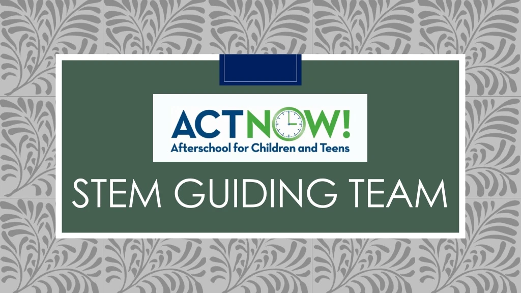 stem guiding team