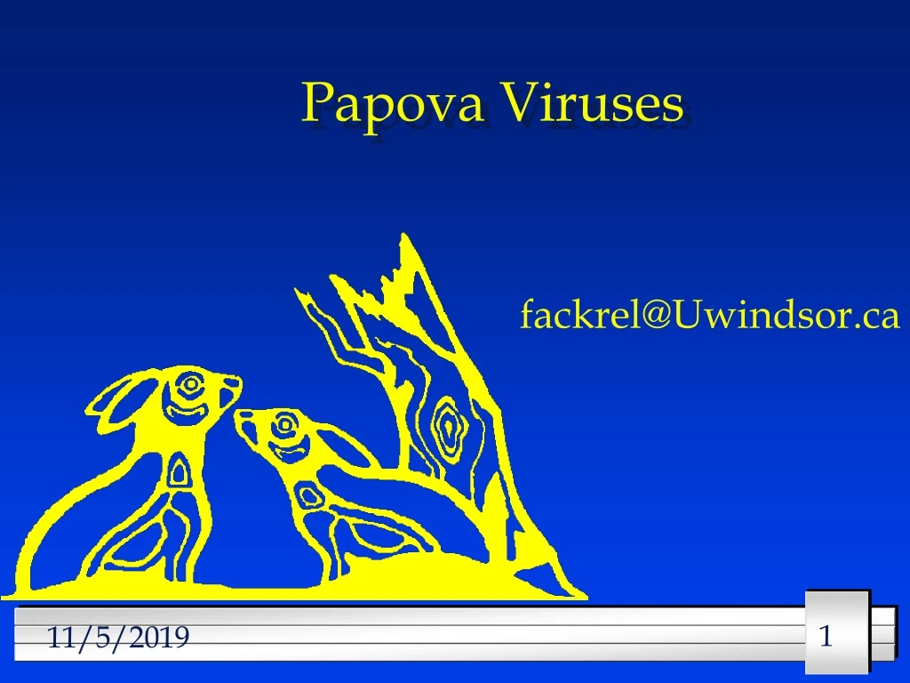 papova viruses