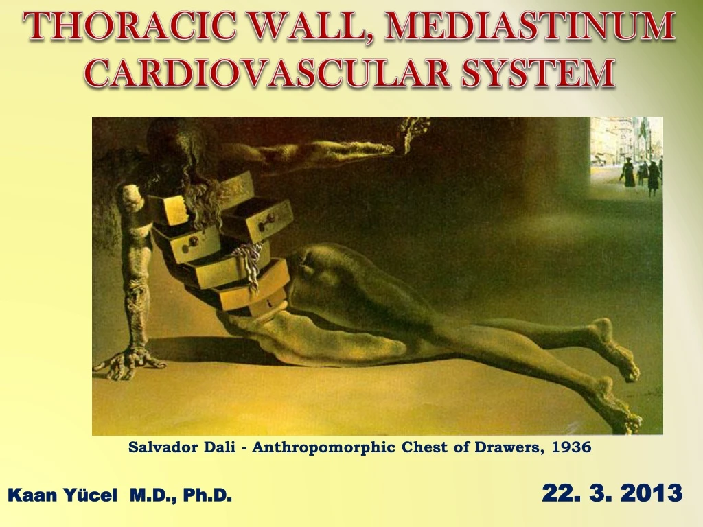 thoracic wall mediastinum cardiovascular system
